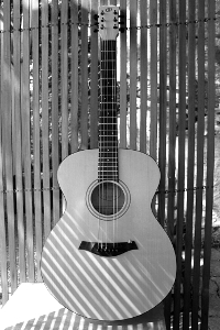 abigael thumb NB IMG 1083